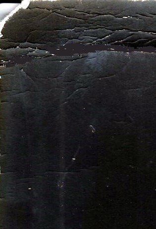 ChungYuen Chou Obituary Silver Spring, MD