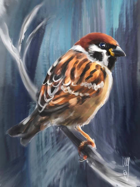 Obituary of Suzanne Talbott Peters