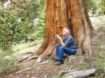 Obituary of David Owen Coe