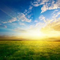Obituary of Wanda Sue Evans