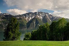 Avis de décès de Edward C. Tipton