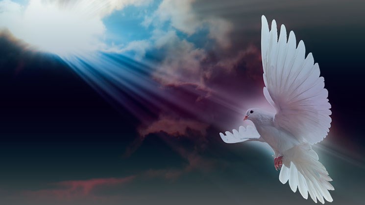 Obituary of Sr. Ramón Herrera Soto