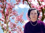 Bùi Thị Sâm ~ Pháp Danh : Ngọc Long