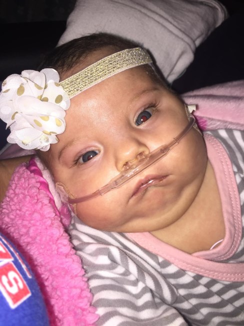 Obituary of Liliana Grace Goodrich