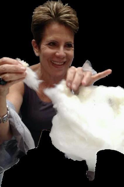 Obituary of Julie Ruth Epstein