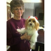 Obituary of Carolyn Morgan