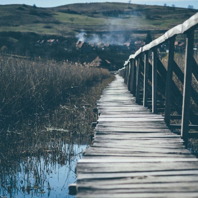 Obituary of Muriel Walker