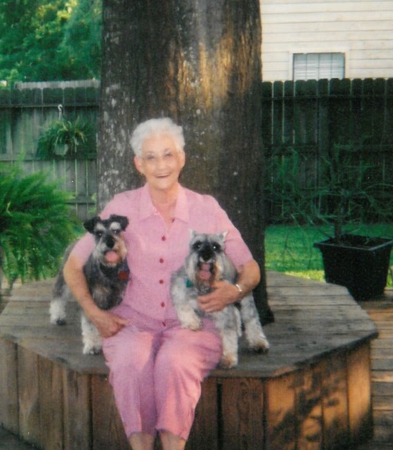 Obituary of Mary Linn Linnehan