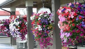 Obituary of Debora Gail THOMPSON