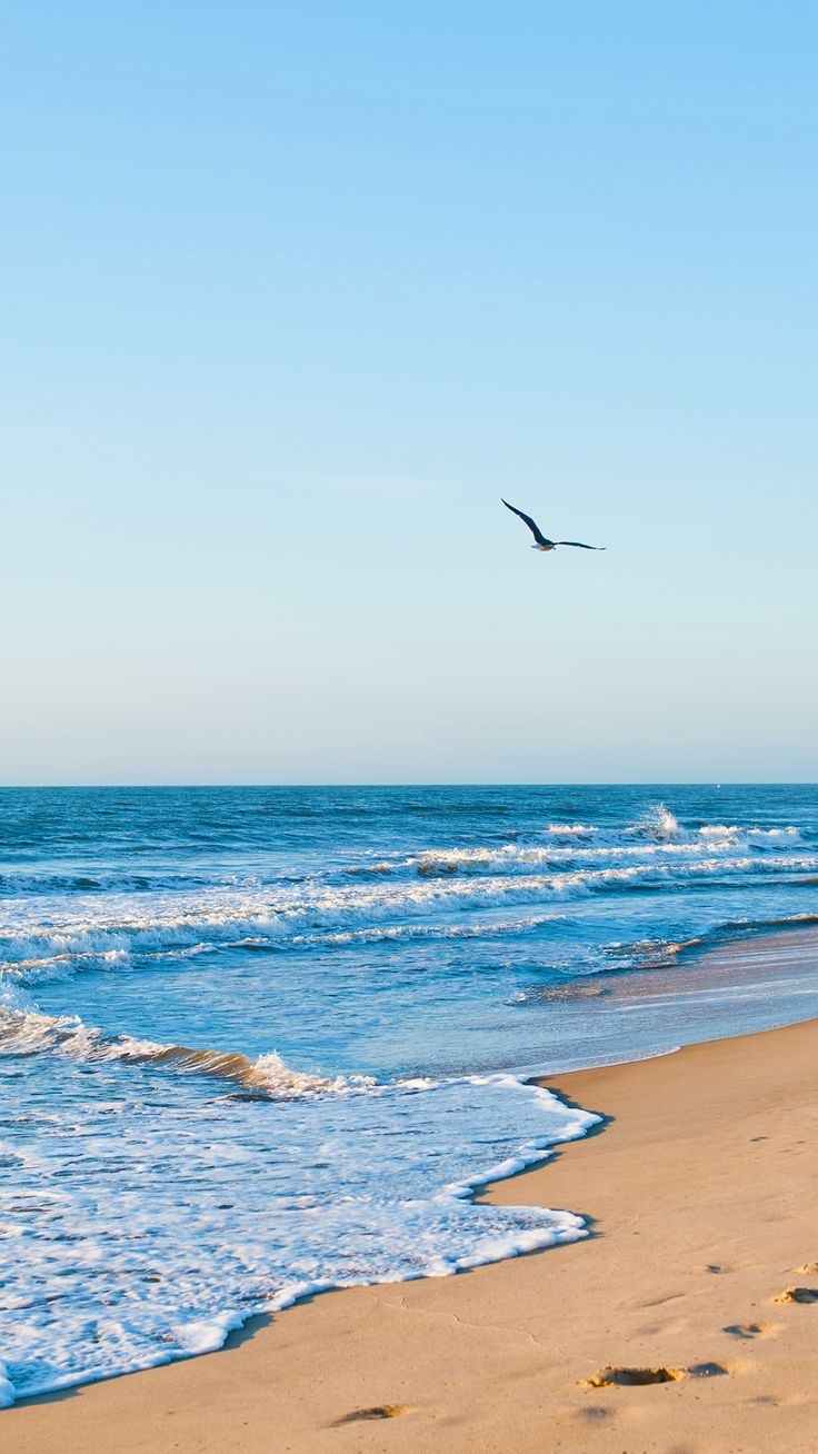 Obituary of Li-Chin Huang