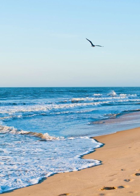 Obituary of Li-Chin Huang