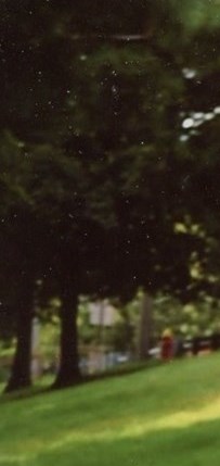 Robyn Adrienne Contente Obituary Spring Valley, NY