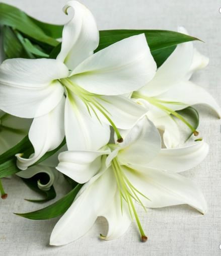 Obituary of Larry Lloyd Main