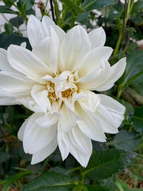 Obituary of Kim Patrick Lehman