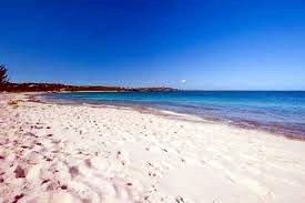 Obituary of Sue J Hedtke