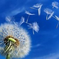 Obituary of Gladys Marie Word