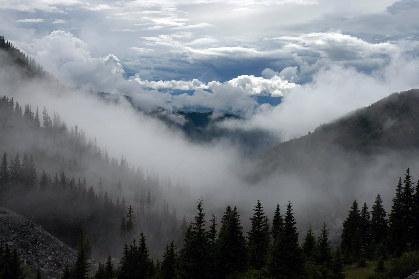 Robert Koser Obituary - National City, CA