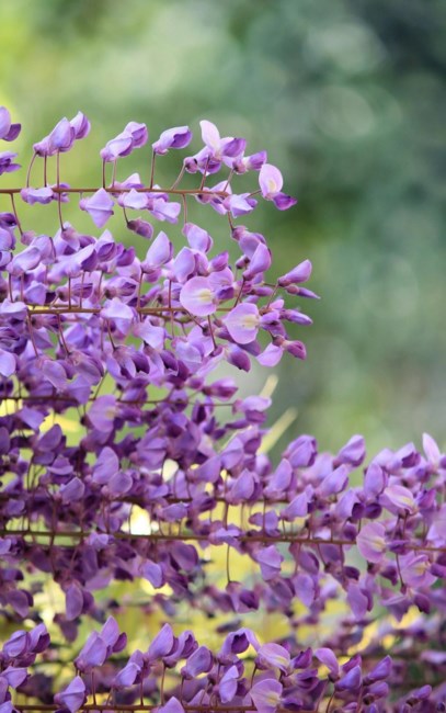 Obituary of Virginia K. Keller