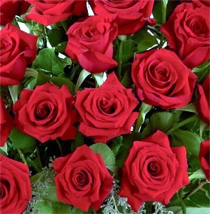 Obituary of Mary Annabelle Harville
