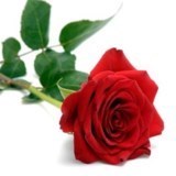 Obituary of Socorro Valles