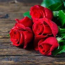 Obituary of Stephanie B. Shea