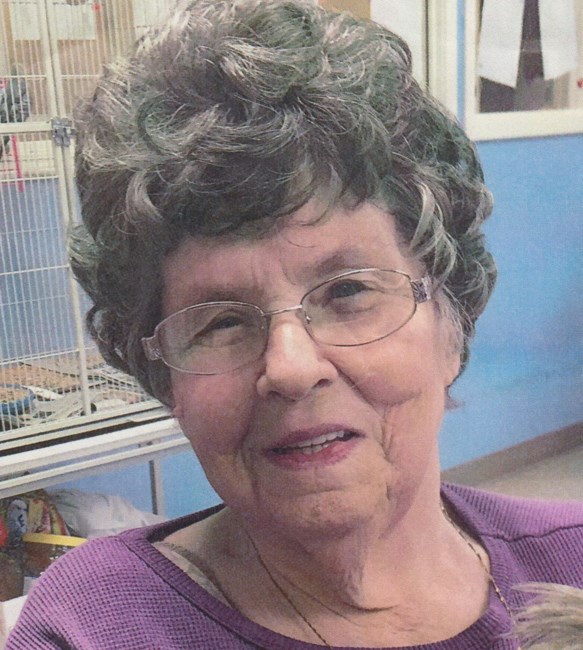 Obituary of Nancy L. Bruggeman