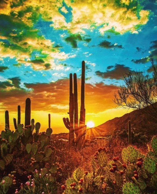 Obituary of Neiron James Tokeak