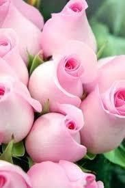 Avis de décès de Eleanor Ruth Slater