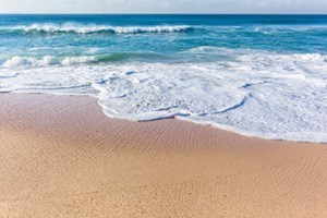 Obituary of Alfred Joy Tai