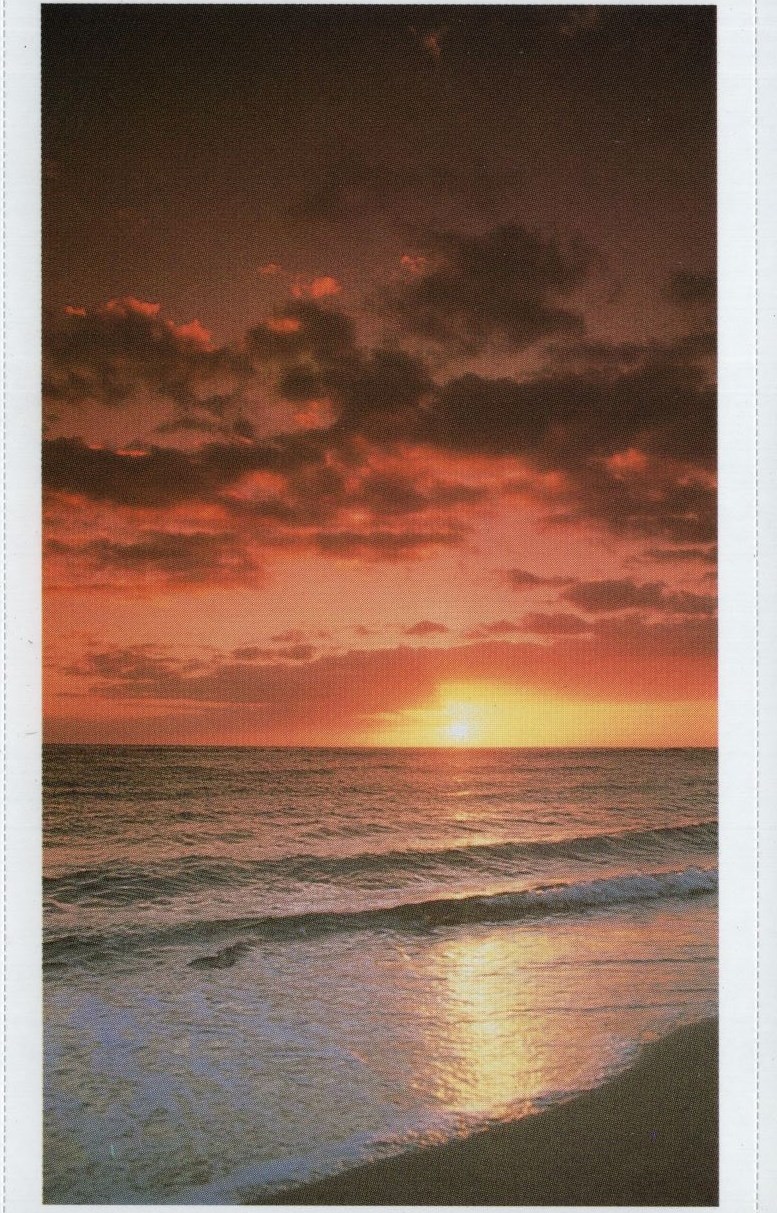 Obituary of Peggy Graffignia Allen