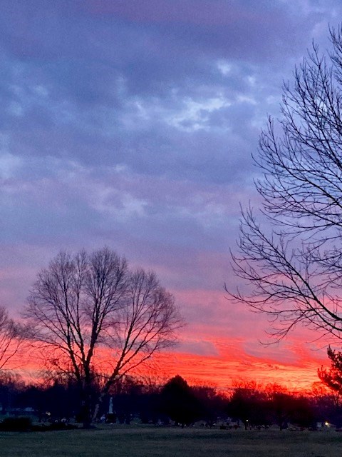 Obituary of Sheri Ann Jones