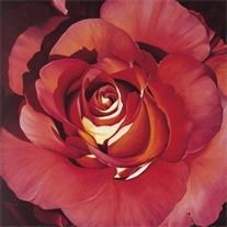 Obituary of Shirley M. Shipston