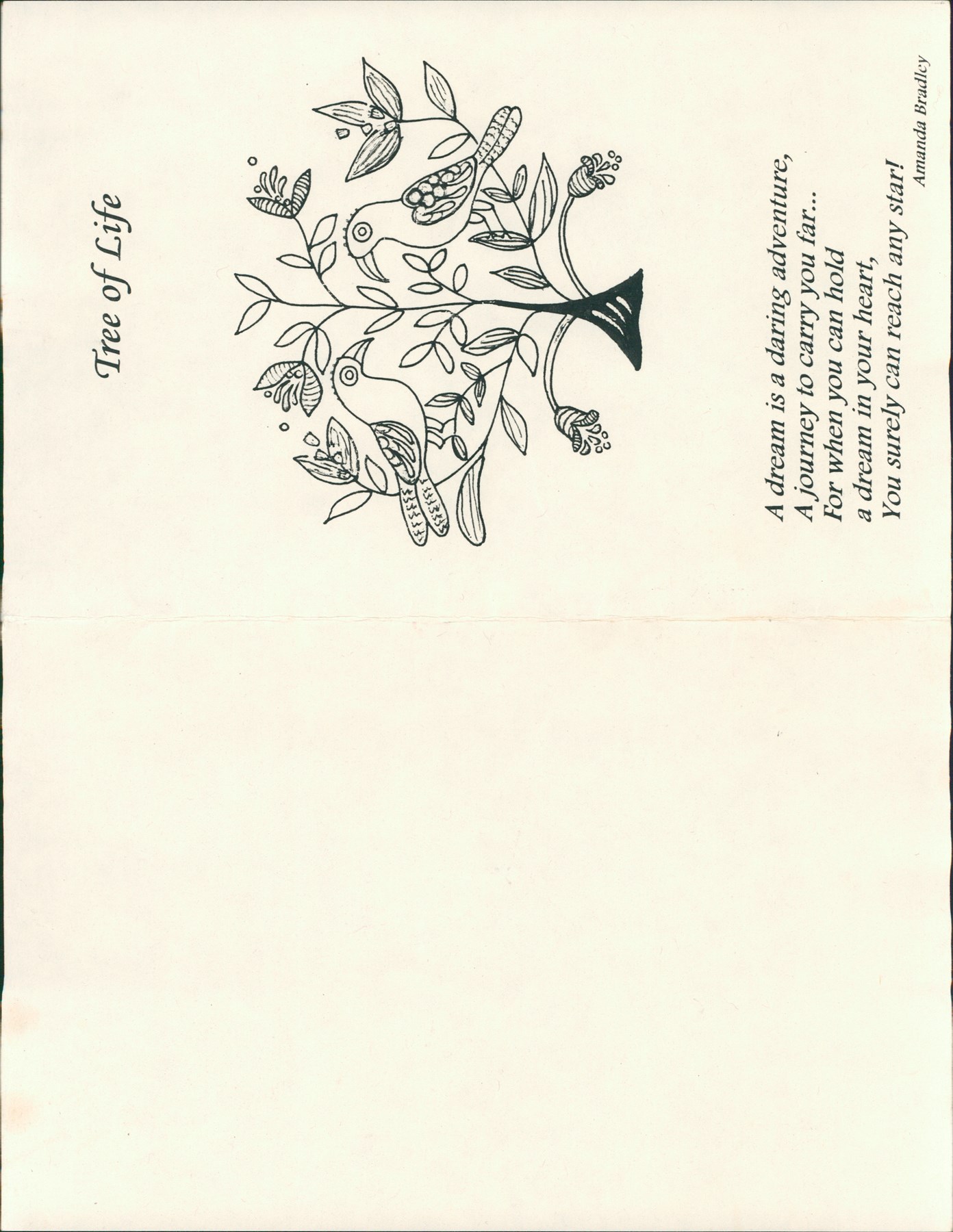 Obituary of Scott Johnson