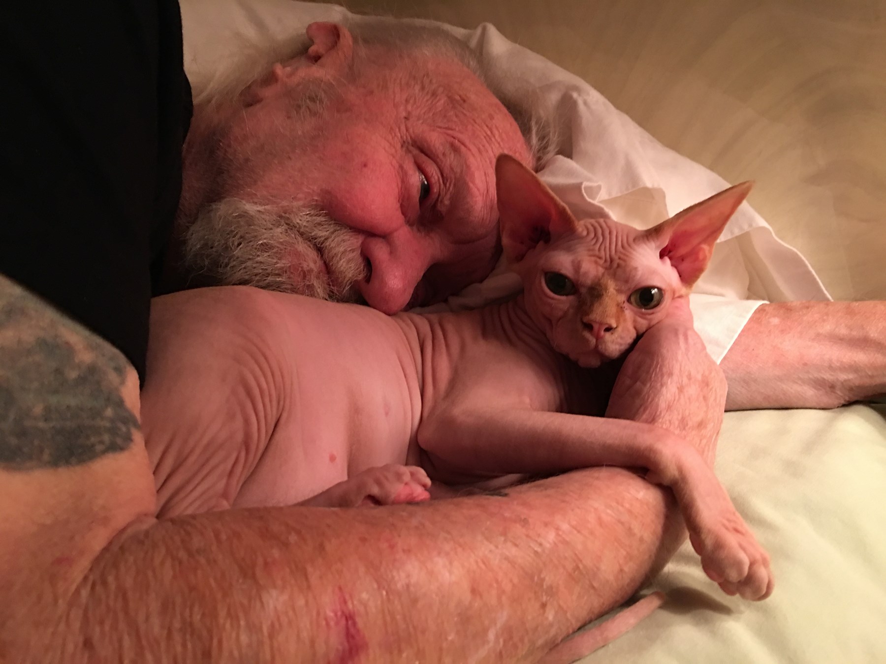 Obituary of Robert N. Jones Sr.