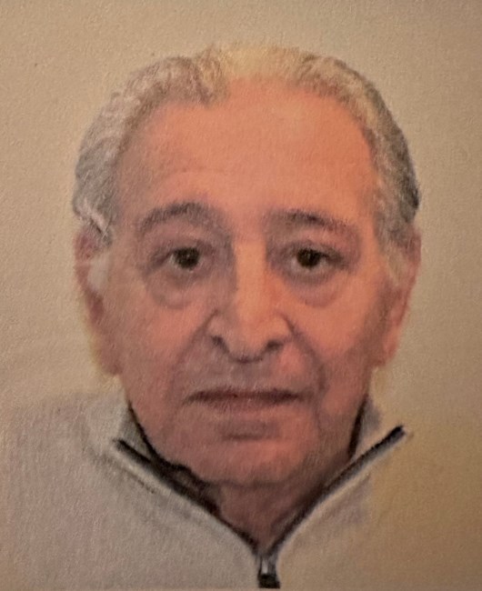 Obituary of Andrea Silecchia