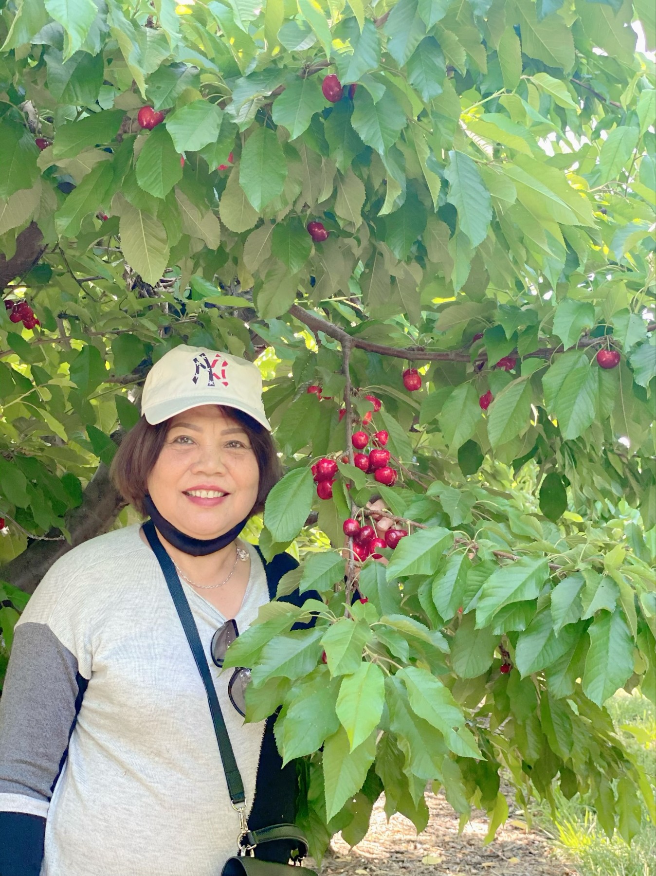 Obituary of Thi Kim Loan Le