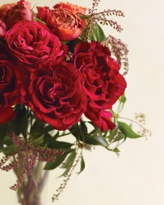 Obituary of Elissa Rothofsky