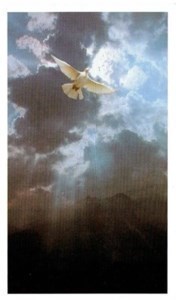 Obituary of Victor M. Romero