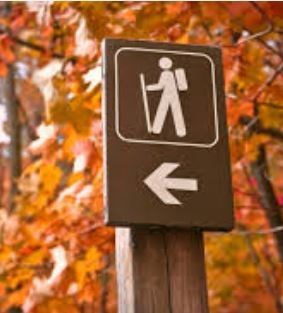 Obituary of David Terry Vaughn