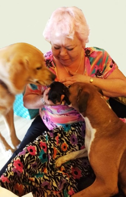 Obituary of Michele Renee Plummer Ingraffia