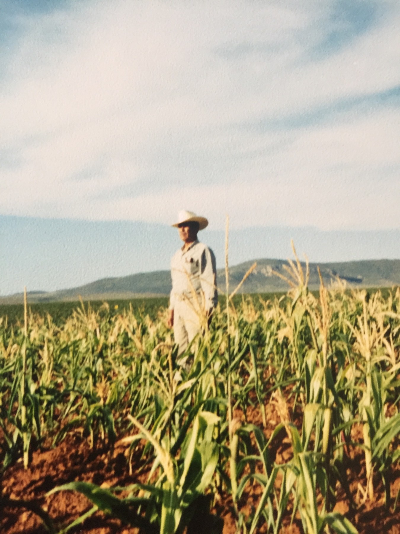 Obituary of Genaro Favela Mena