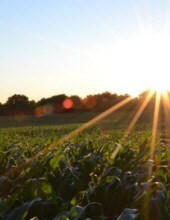 Obituary of Michael Robert Richardson