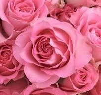 Obituary of Eleanor Johnson Street