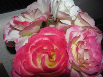 Obituary of Patricia Jane Depew