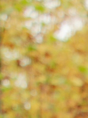 Joseph Rundo Rudy Rundo Obituary - Ravenna, OH