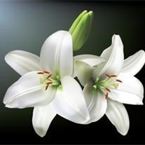 Obituary of Barbara J. Hicks
