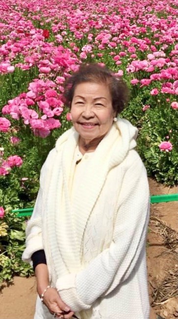 Obituary of Lydia Micairan Vacal