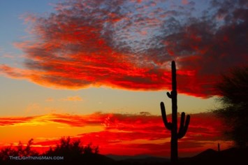 Obituary of Juliana Martin Brown