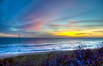 Obituary of Joan Donohue La Velle