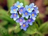 Obituary of Betty M. McNally